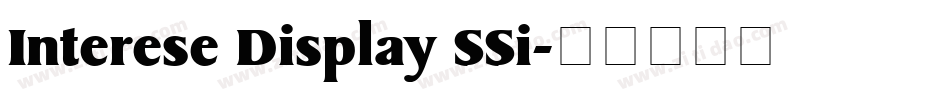 Interese Display SSi字体转换
